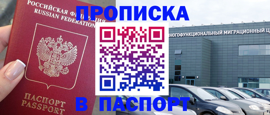 прописка для школы в Шлиссельбурге